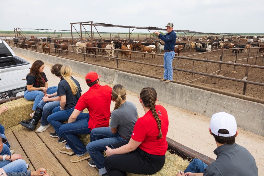 A group of students from the Matador Institute of Leadership Engagement sitting on a wooden platform, listening to a speaker at a cattle ranch in the Rio Grande Valley, with cows visible in the background.